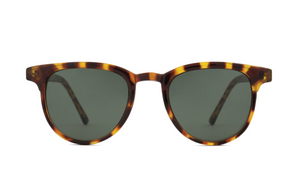 Komono Francis Tortoise
